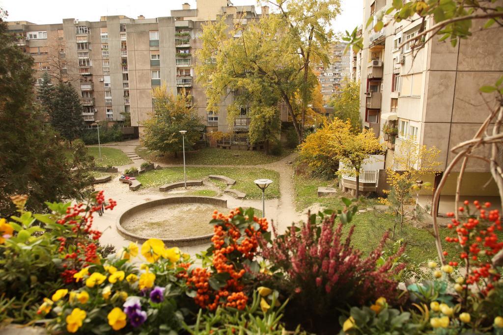 Apartment Spacious Liman Novi Sad Eksteriør bilde