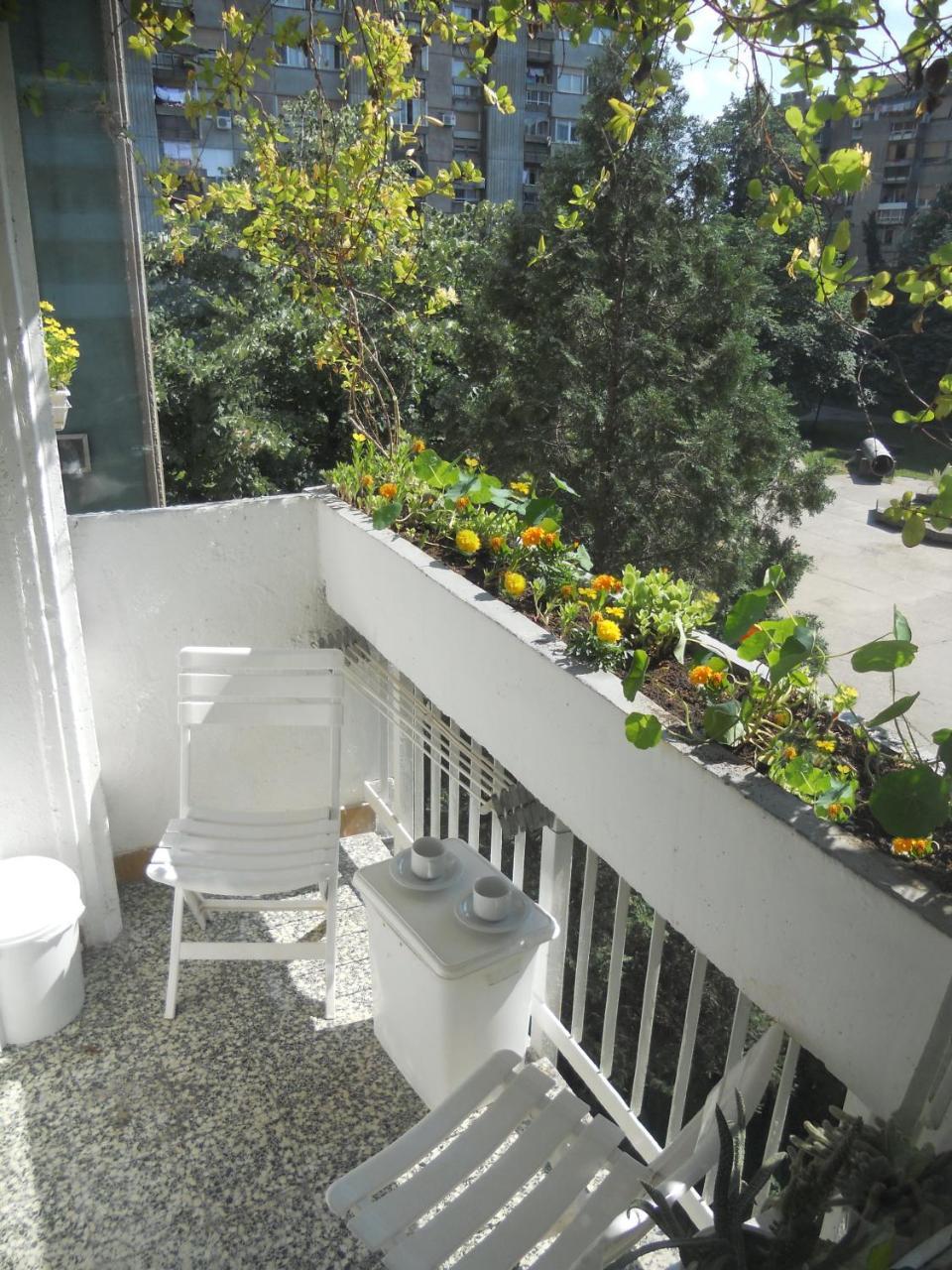 Apartment Spacious Liman Novi Sad Eksteriør bilde